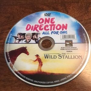 COPY - ⭐️10 for $10 Sale⭐️ One Direction All for One and The Wild Stallion DVD